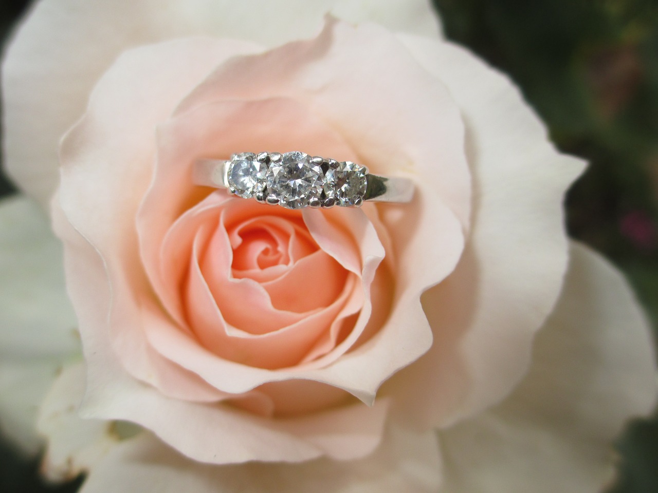ring engagement ring love free photo