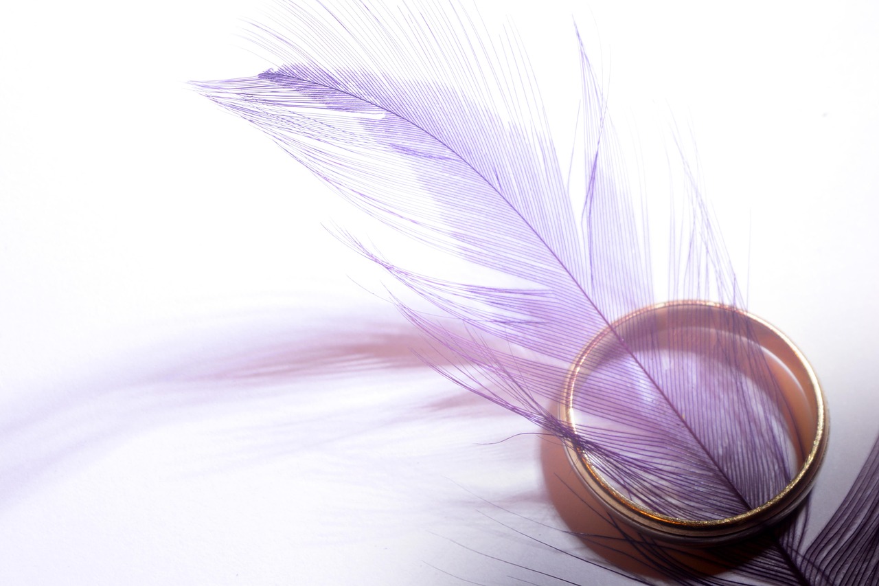ring feather marriage free photo