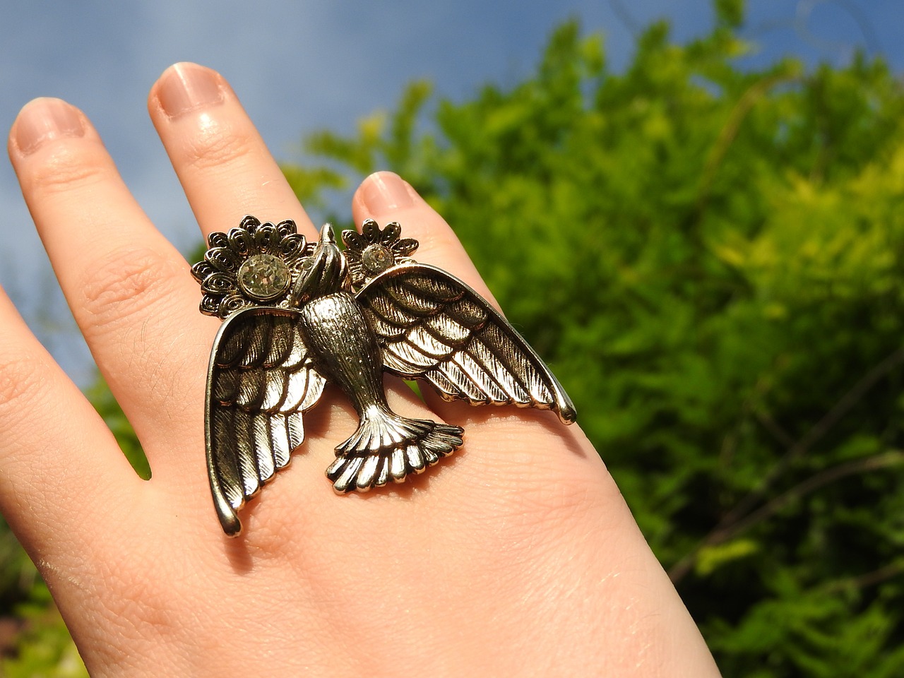 ring swallow golden free photo