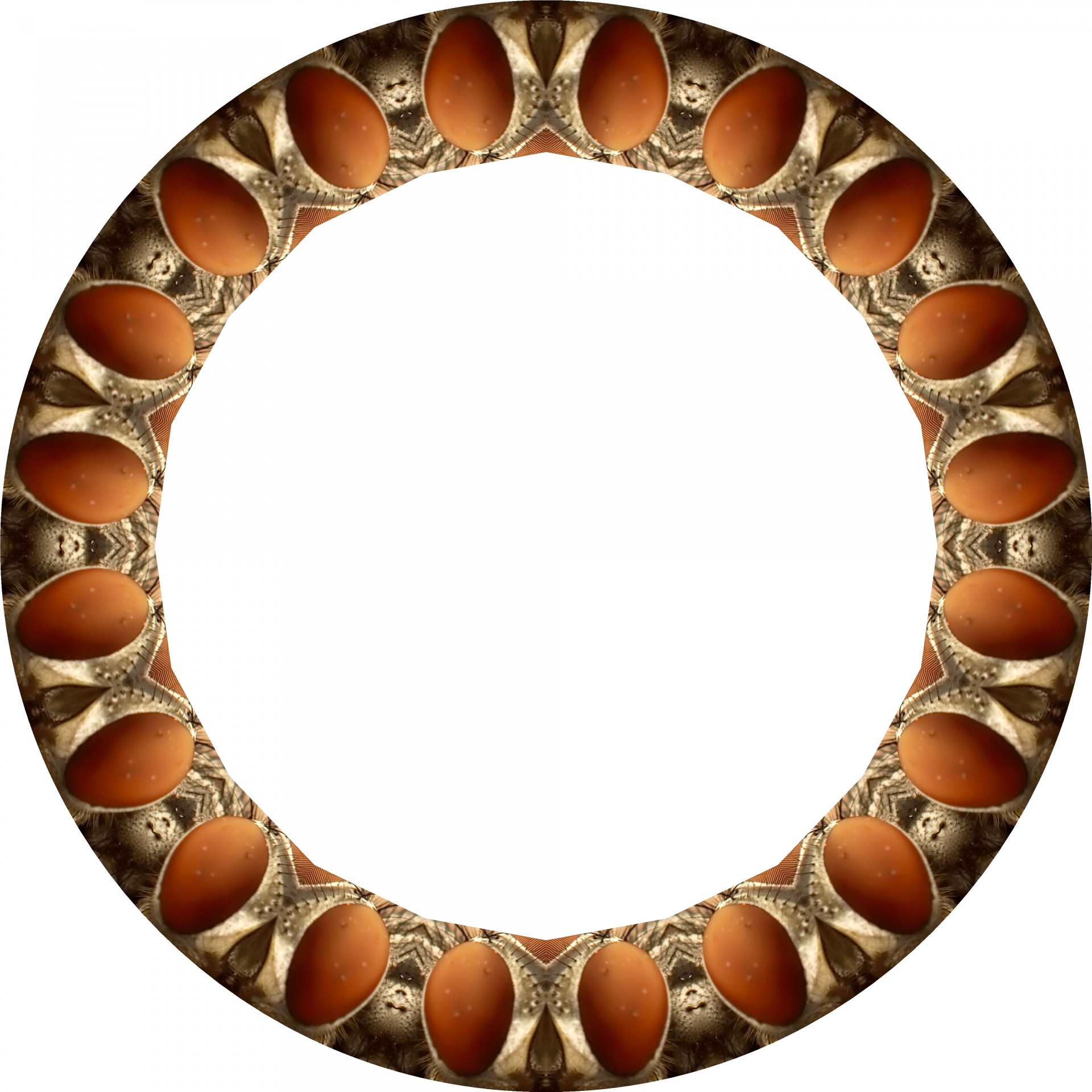 ring shape kaleidoscope free photo