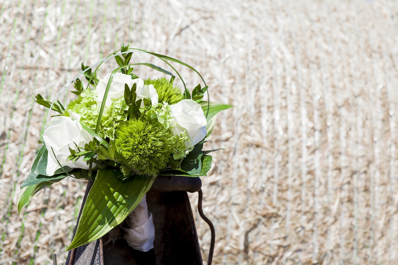 rings wedding marry free photo