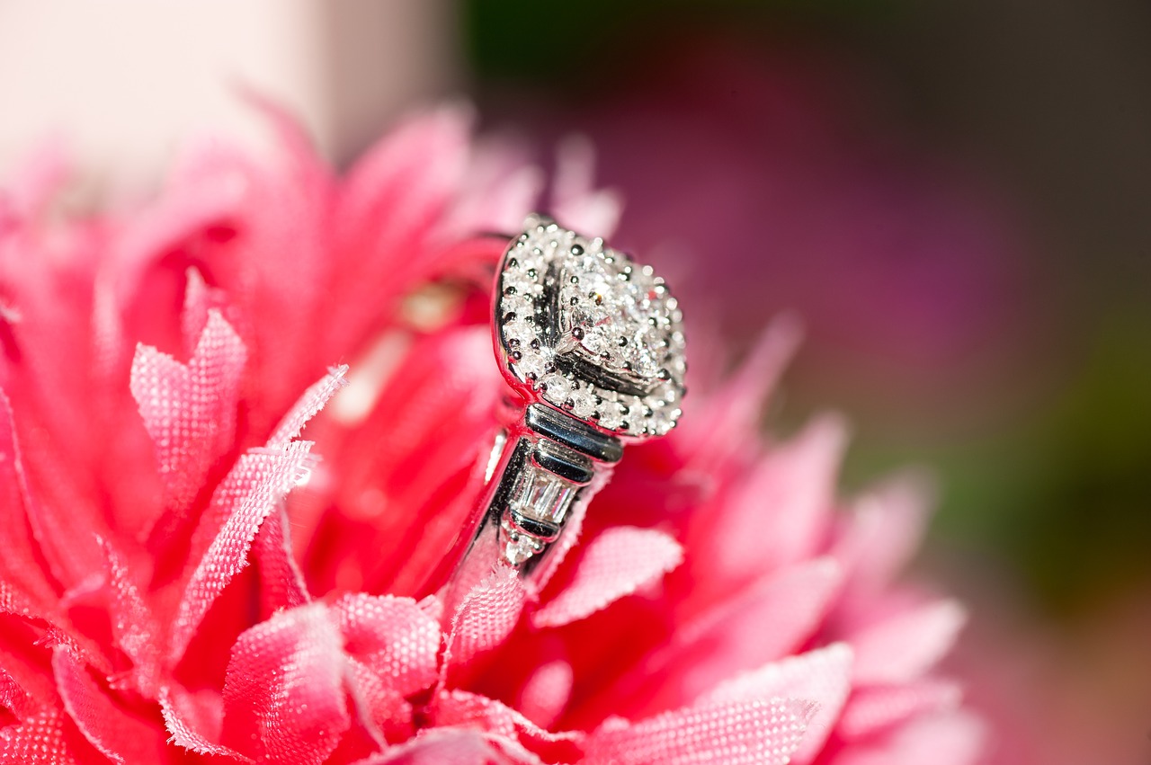 rings  bridal  wedding free photo