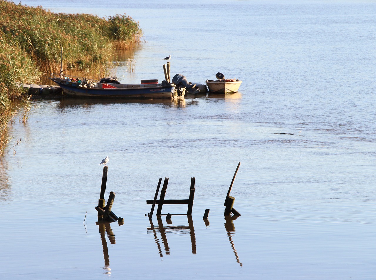 rio sado boats free photo