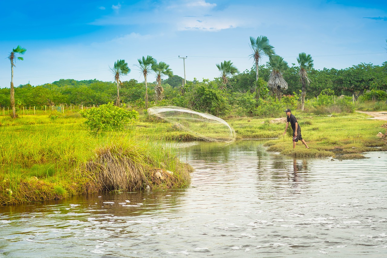 rio fisherman nature free photo