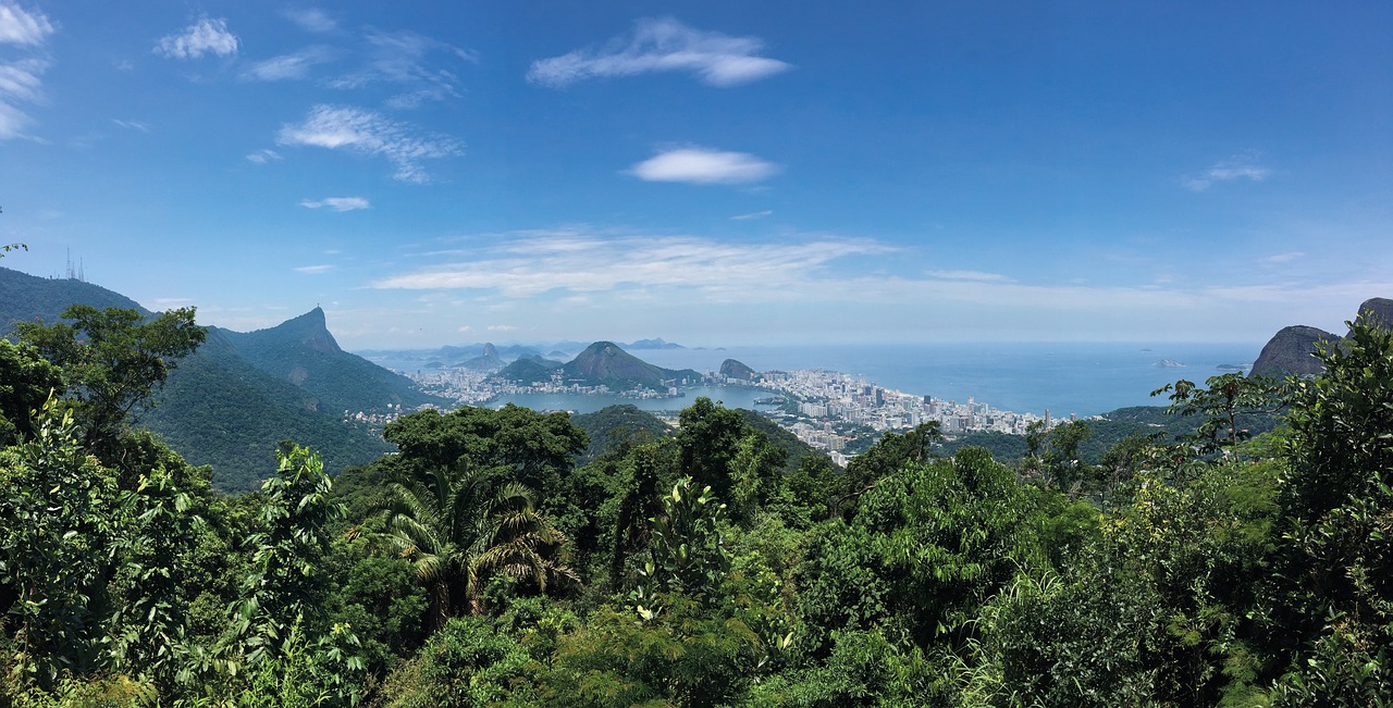 rio landscape selva free photo