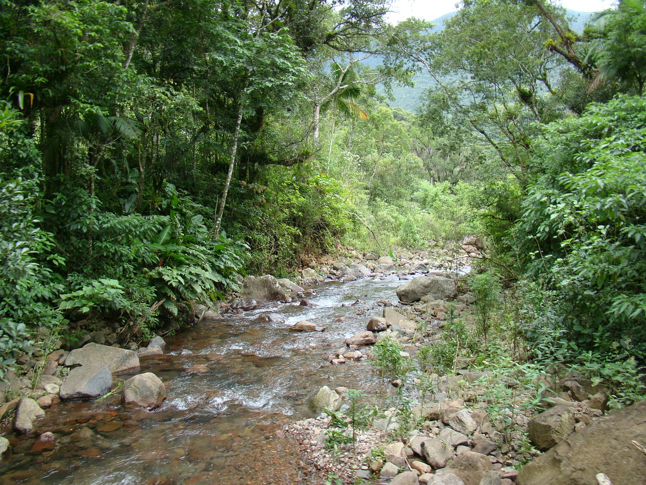 rio nature waterfall free photo