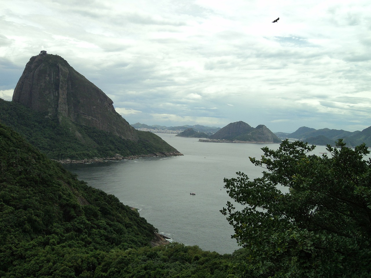 rio de janeiro brazil tourist attraction free photo