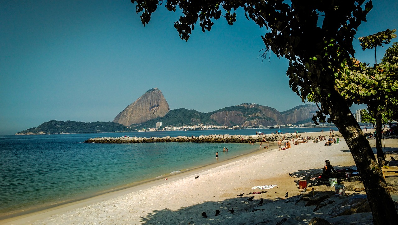 rio de janeiro flemish nature free photo