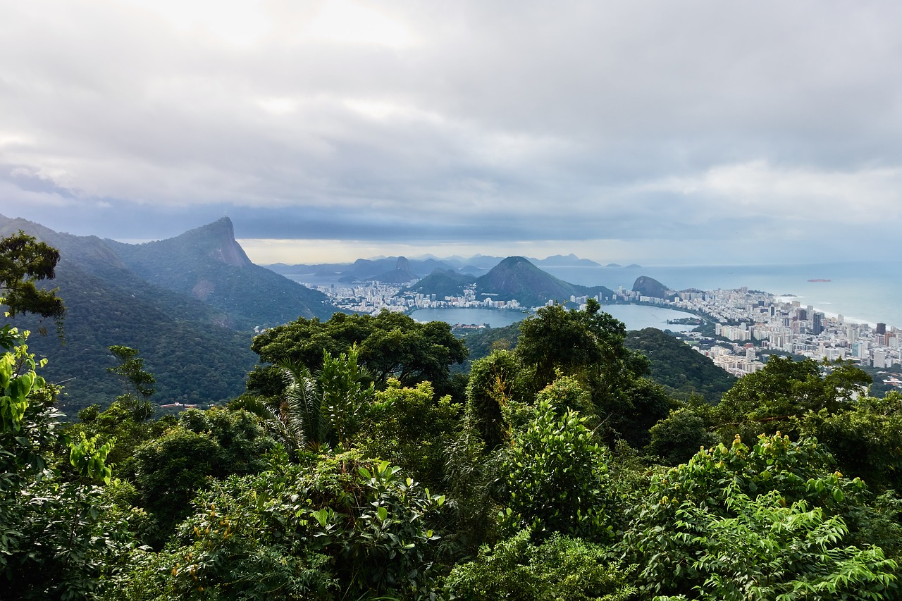 Brazil tropical. Бразилия Рио де Жанейро тропический лес. Бразилия ландшафт. Тропический лес пейзаж Рио де Жанейро. Тропические леса амазонки в Бразилии.