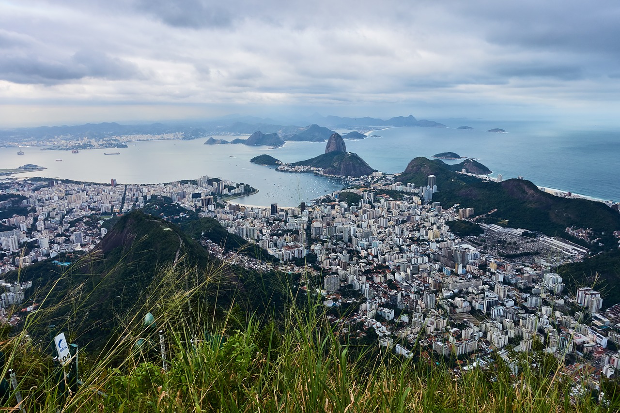 rio de janeiro  brazil  nature free photo