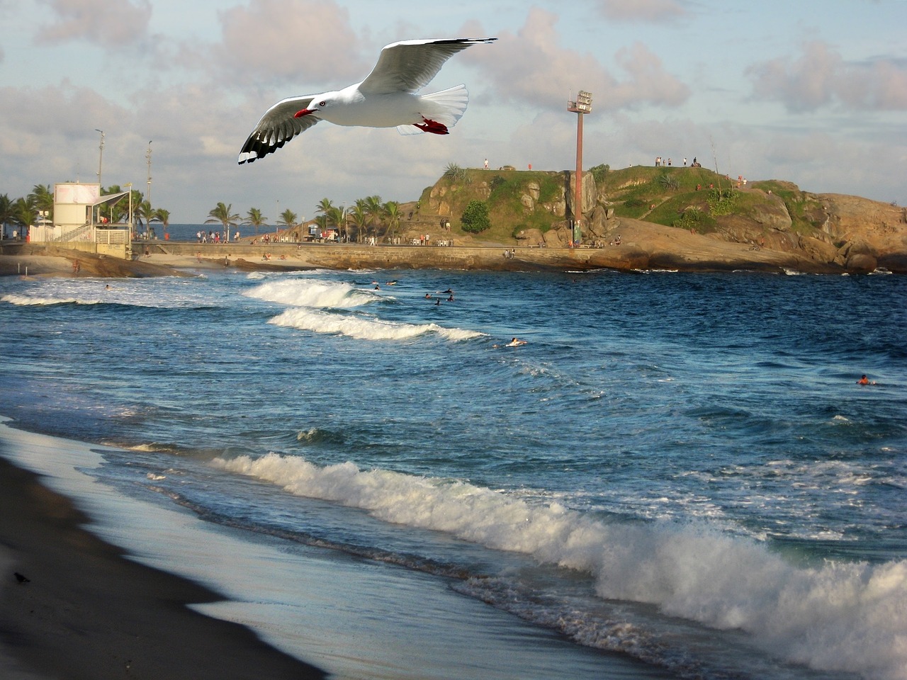 rio de janeiro mar ocean free photo