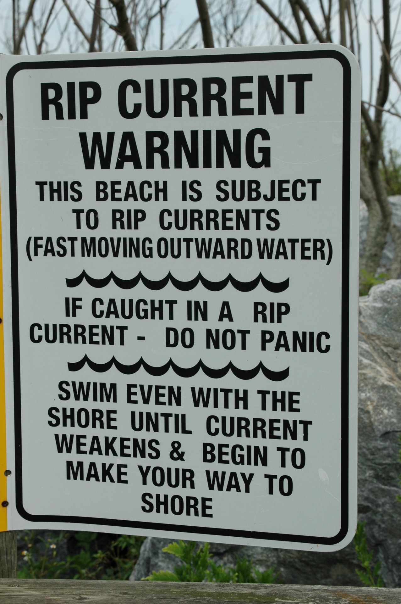 rip current warning sign free photo