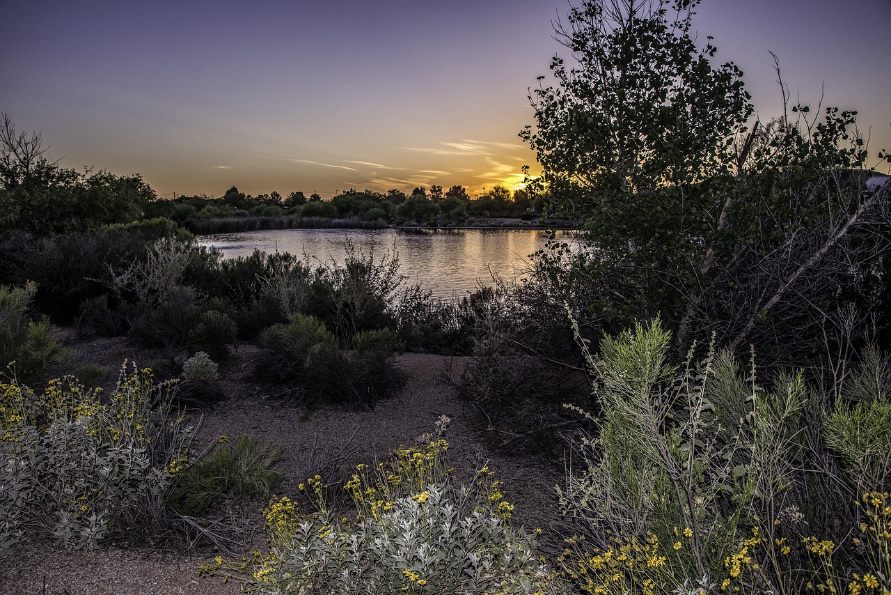 riparian arizona glibert free photo