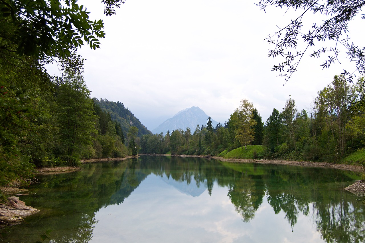 riparian zone lake pond free photo