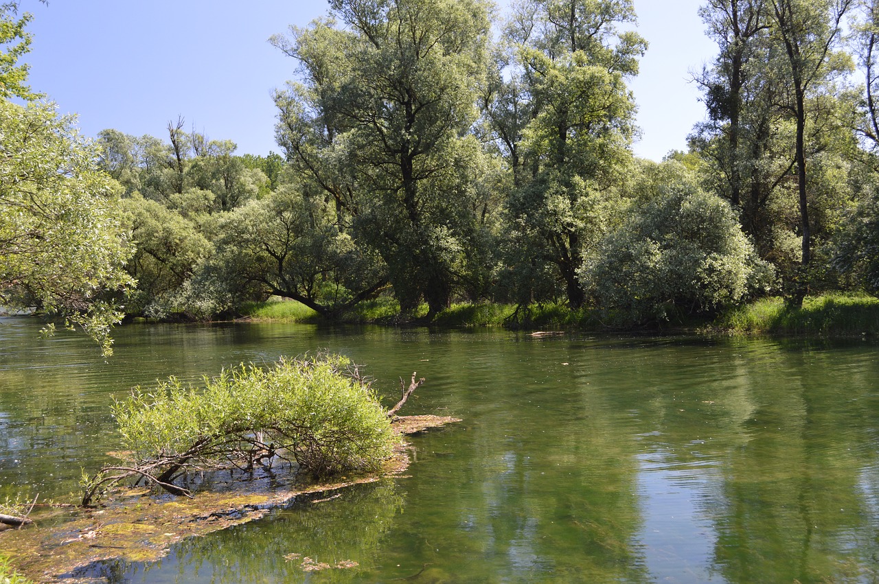 riparian zone  river landscape  river free photo