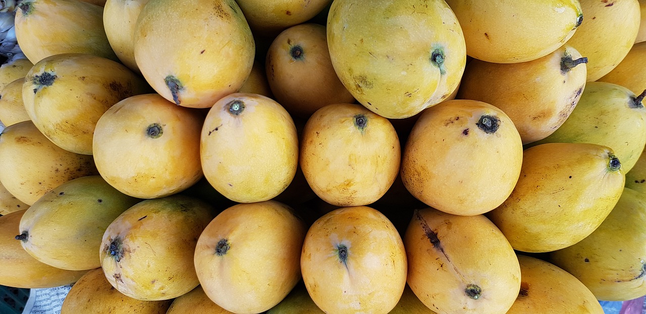 ripe  sweet  mango free photo