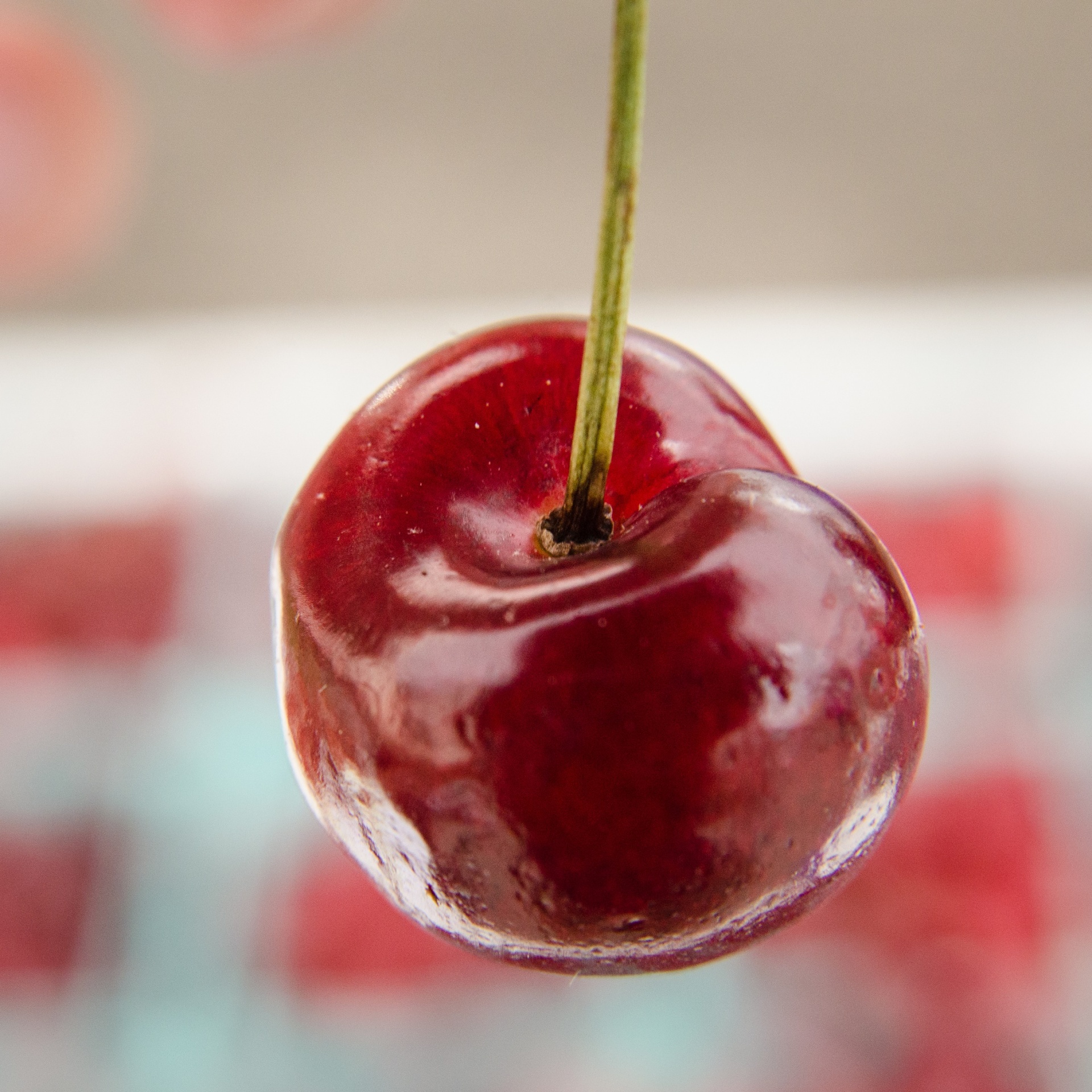 cherry ripe red free photo