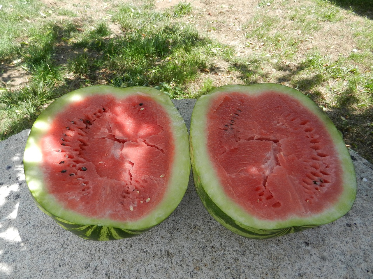 ripe watermelon watermelon fruit free photo