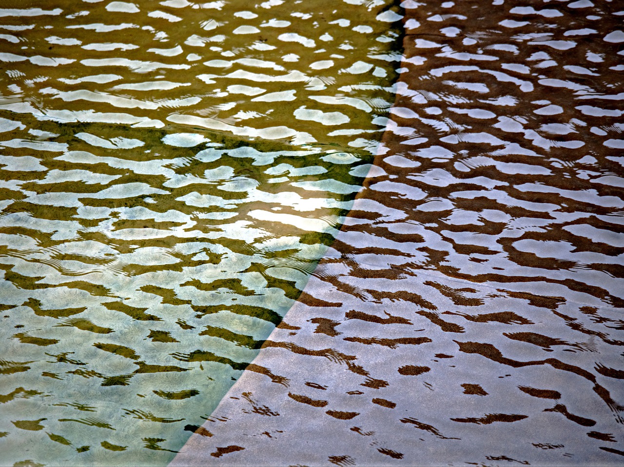 ripple water surface free photo