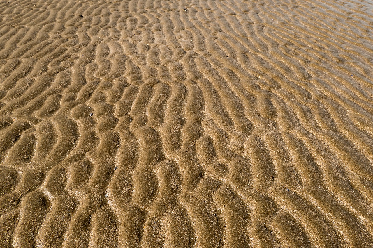 ripples  beach  endless free photo