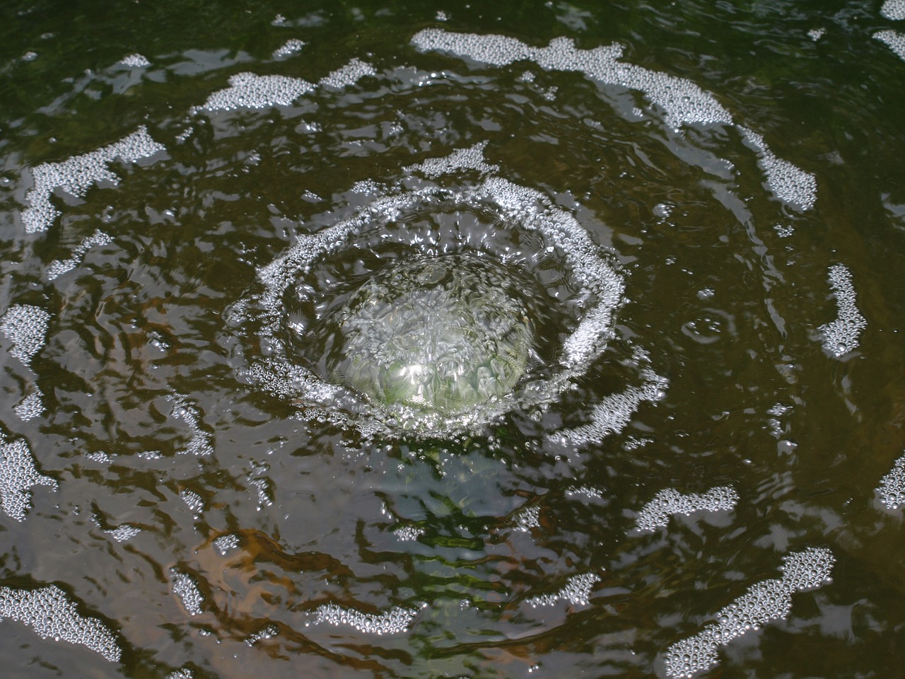 ripples water fountain free photo