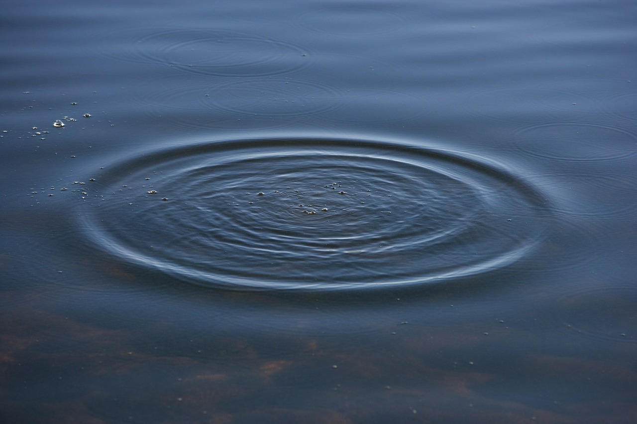 ripples bubbles water free photo