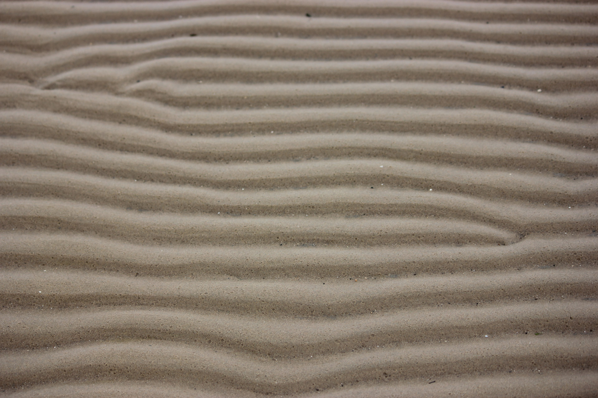 sand beach sand ripples free photo