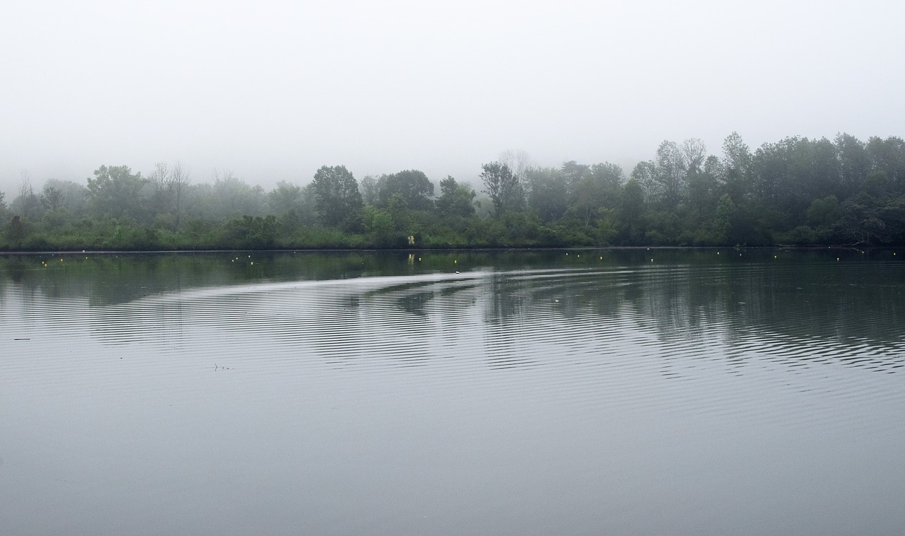 ripples in the water melton lake park in the fog melton lake park free photo