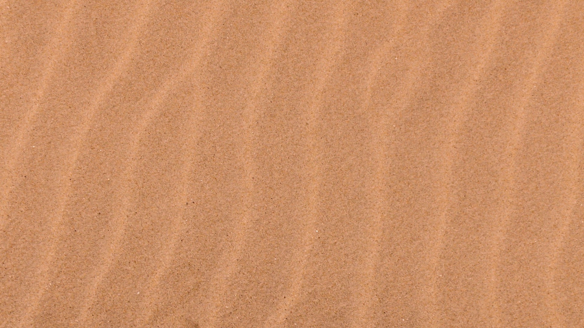 sand ripples sandy free photo