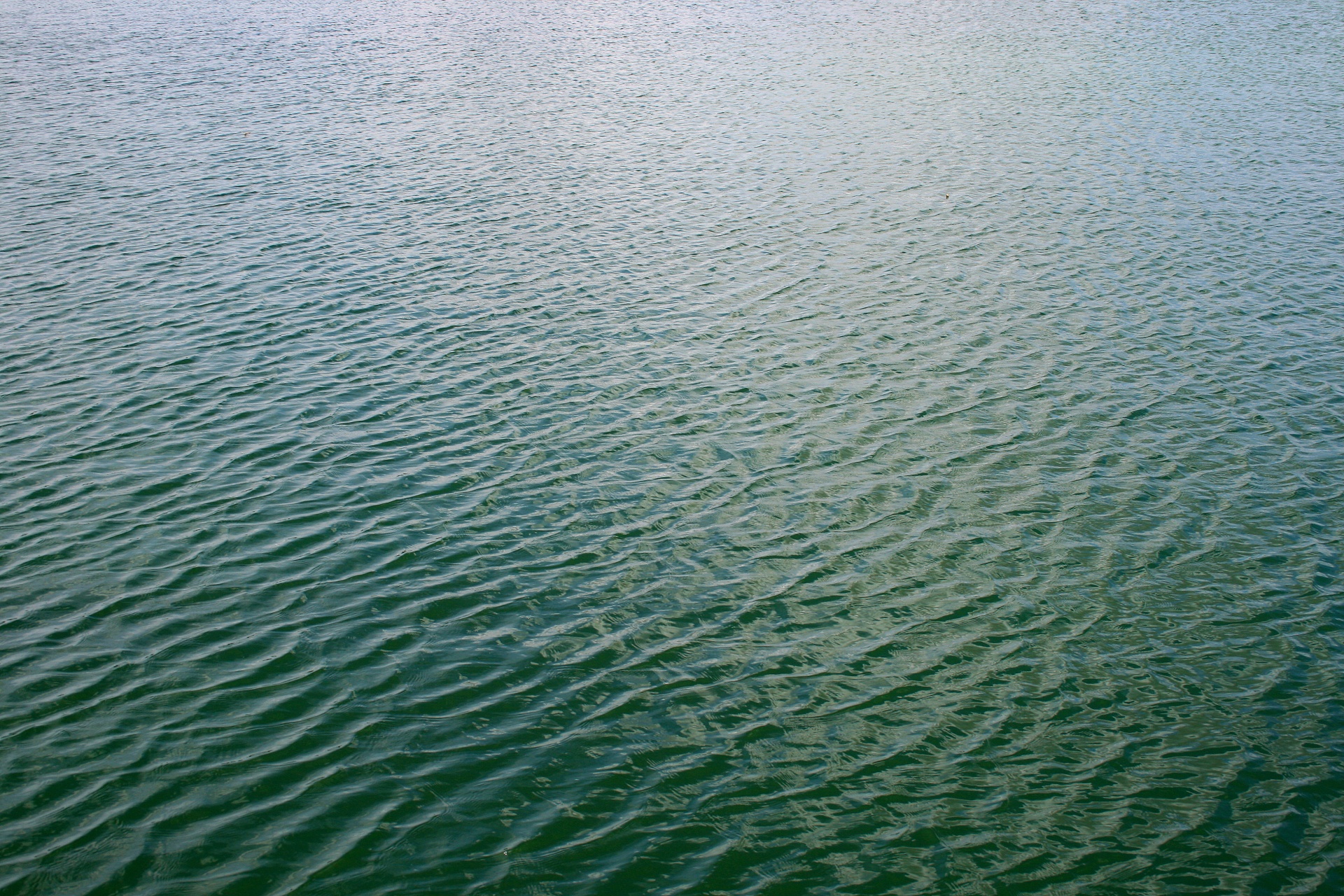 water surface rippled free photo