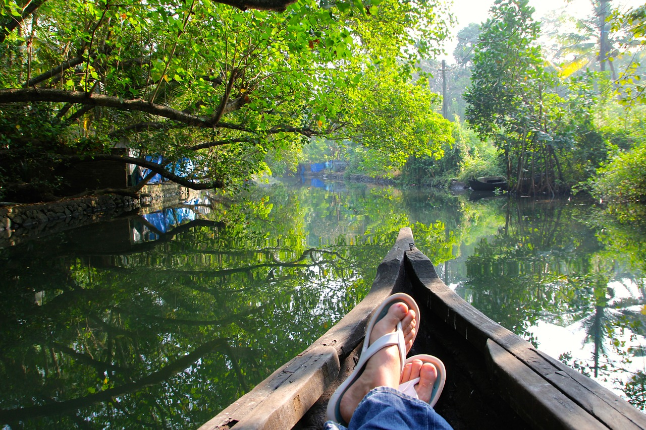 river jungle rainforest free photo