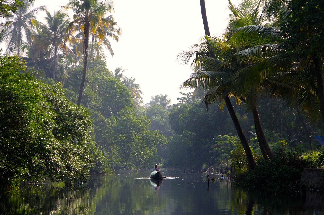 river jungle rainforest free photo