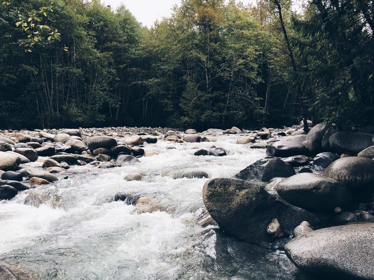 river rocky forest free photo