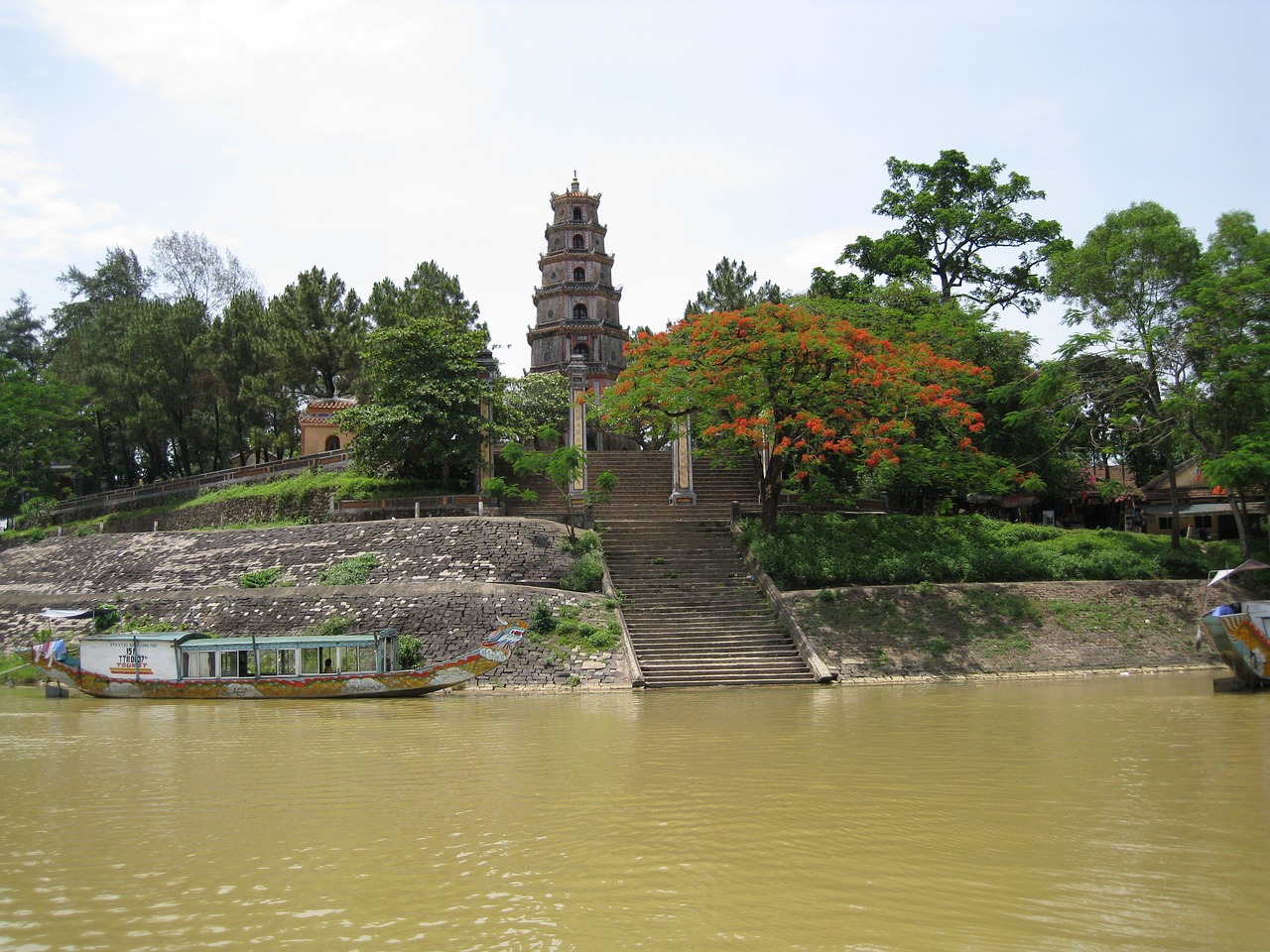 river pagoda tree free photo