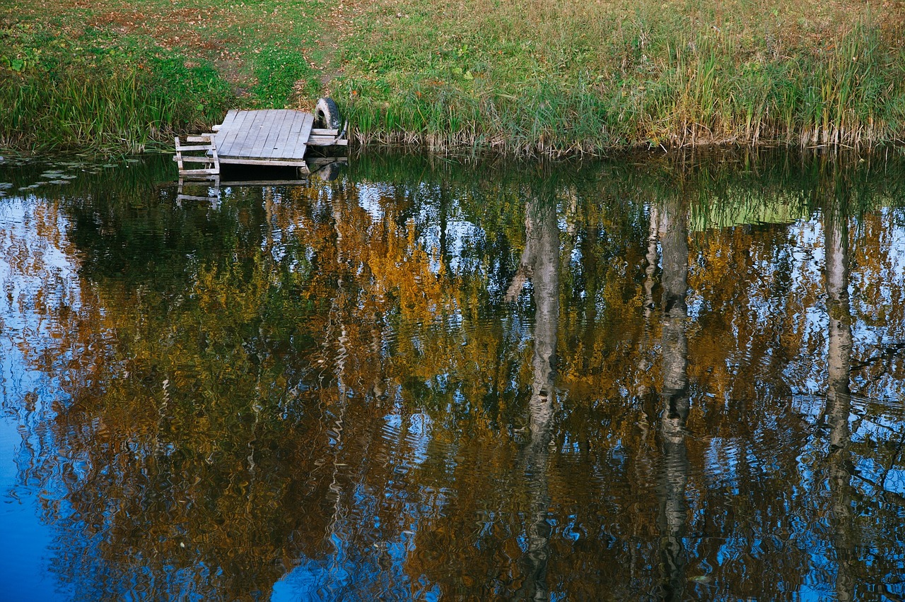 river reflection autumn free photo