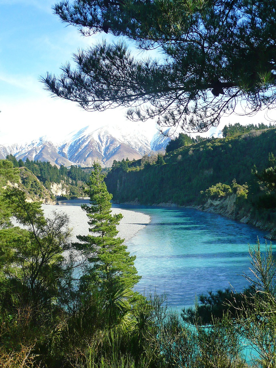 river winding trees free photo