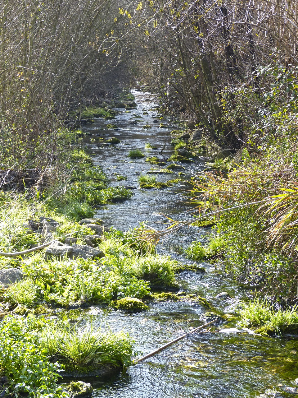 river brook siurana free photo