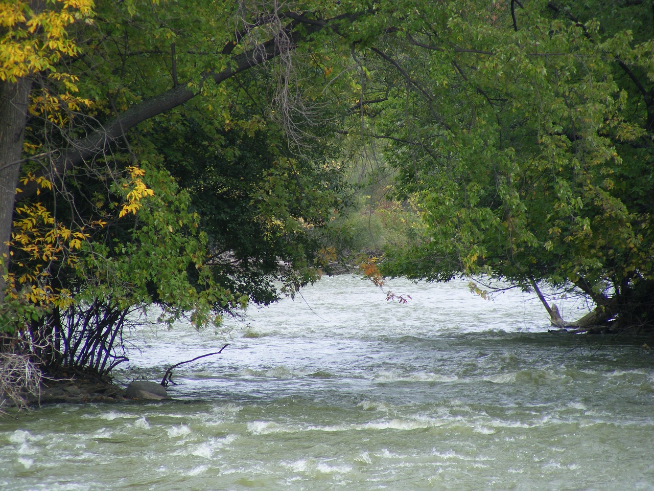 river fox river kaukauna free photo