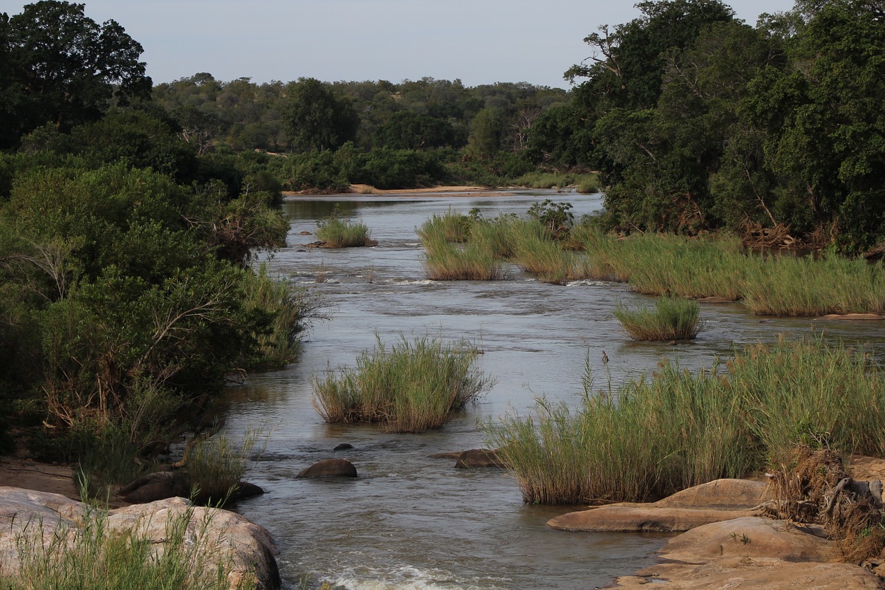 river nature africa free photo