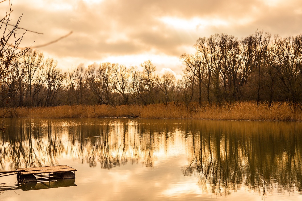 river landscape nature free photo