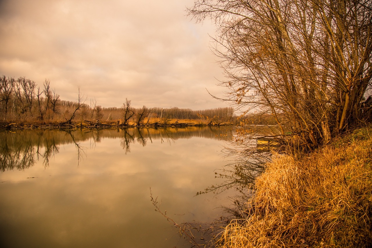 river landscape nature free photo