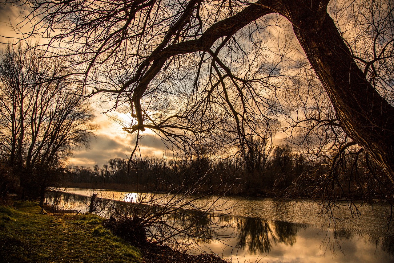 river landscape nature free photo