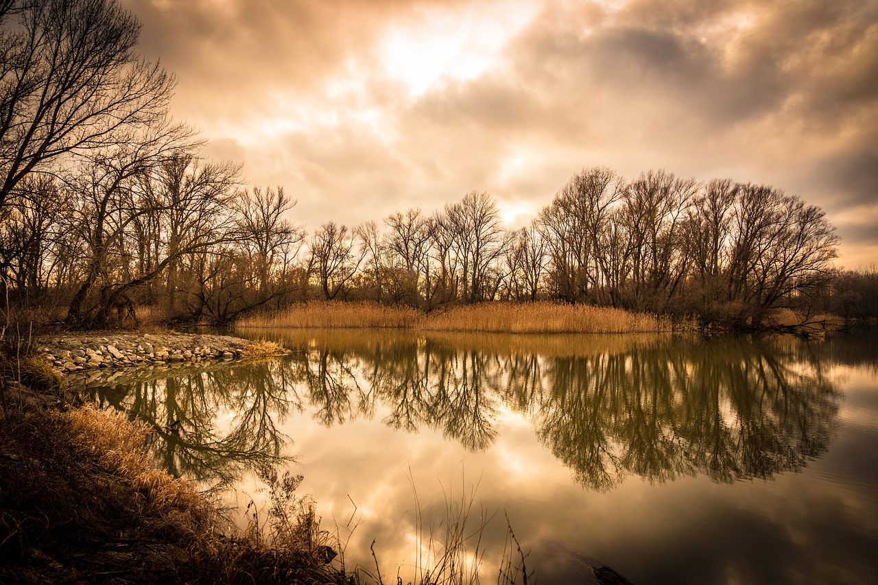 river landscape nature free photo