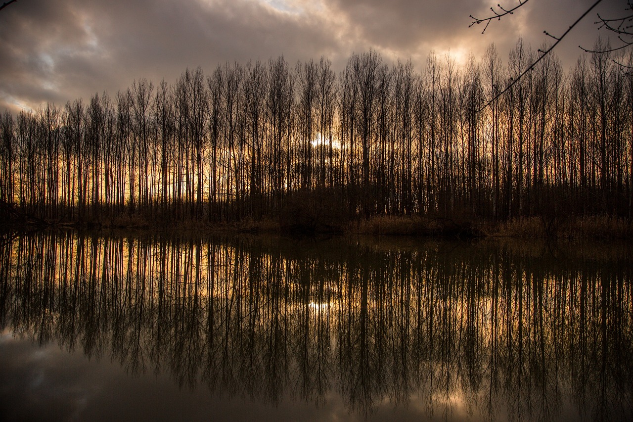 river landscape nature free photo