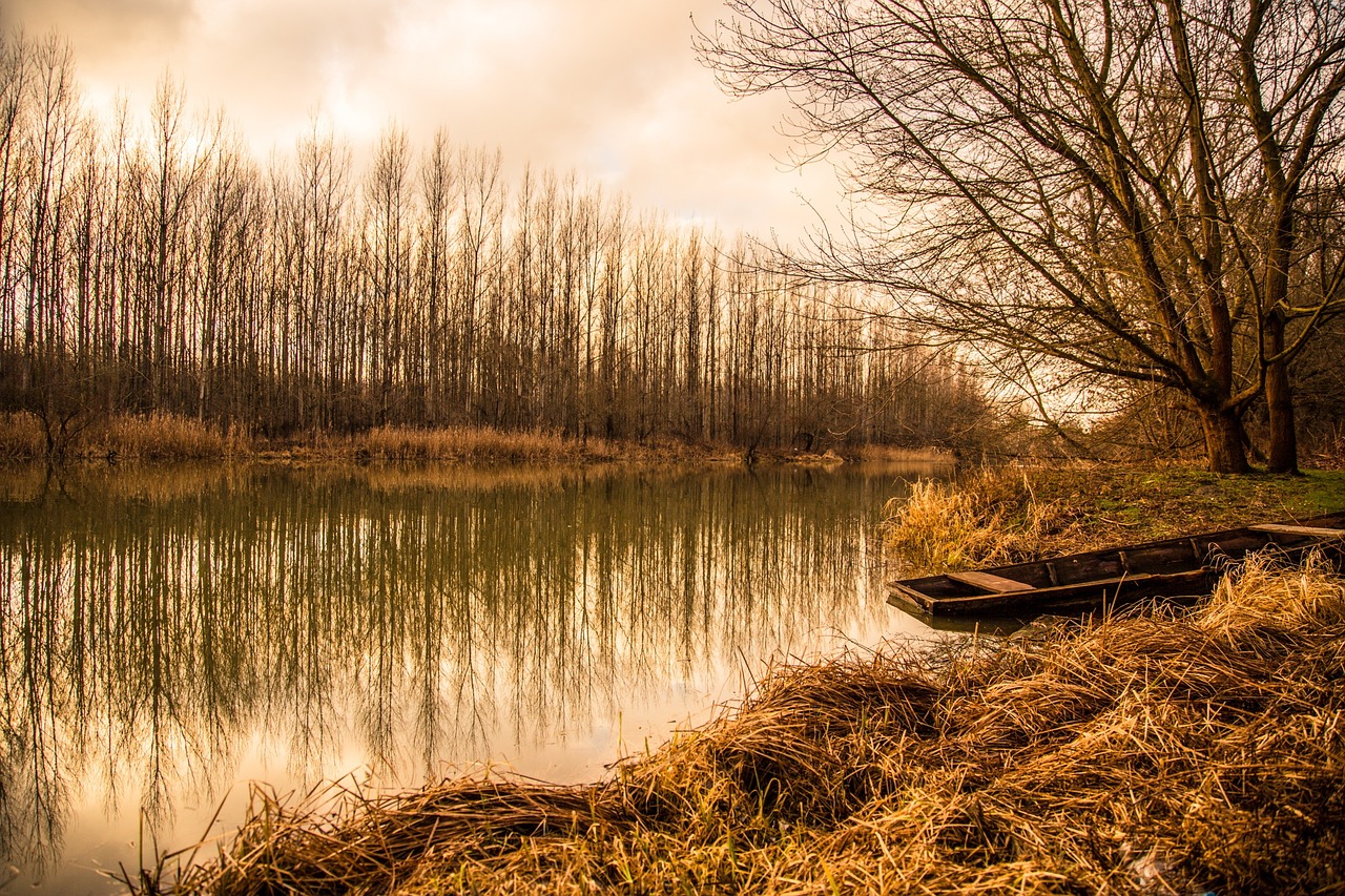 river landscape nature free photo