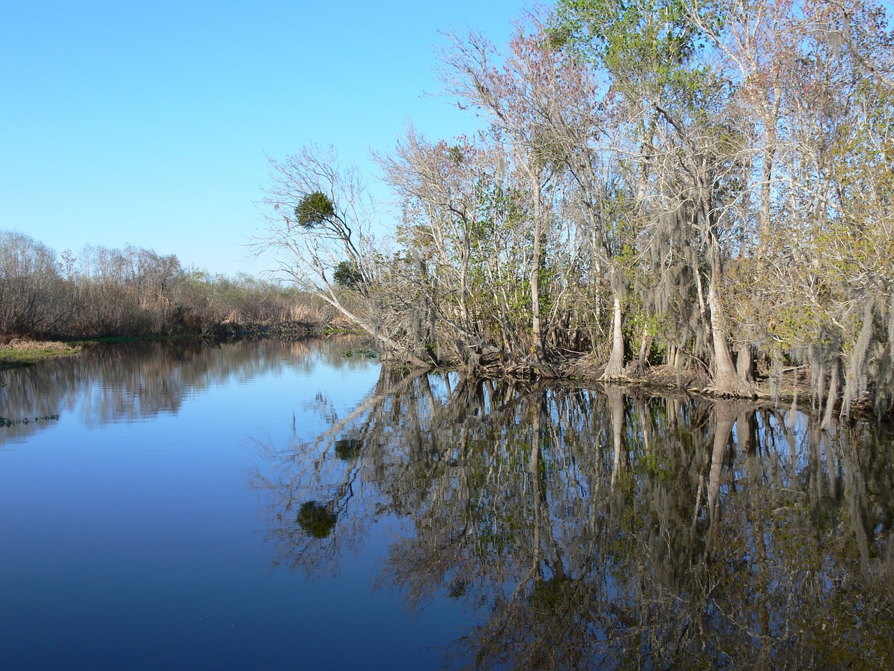 river water lake free photo