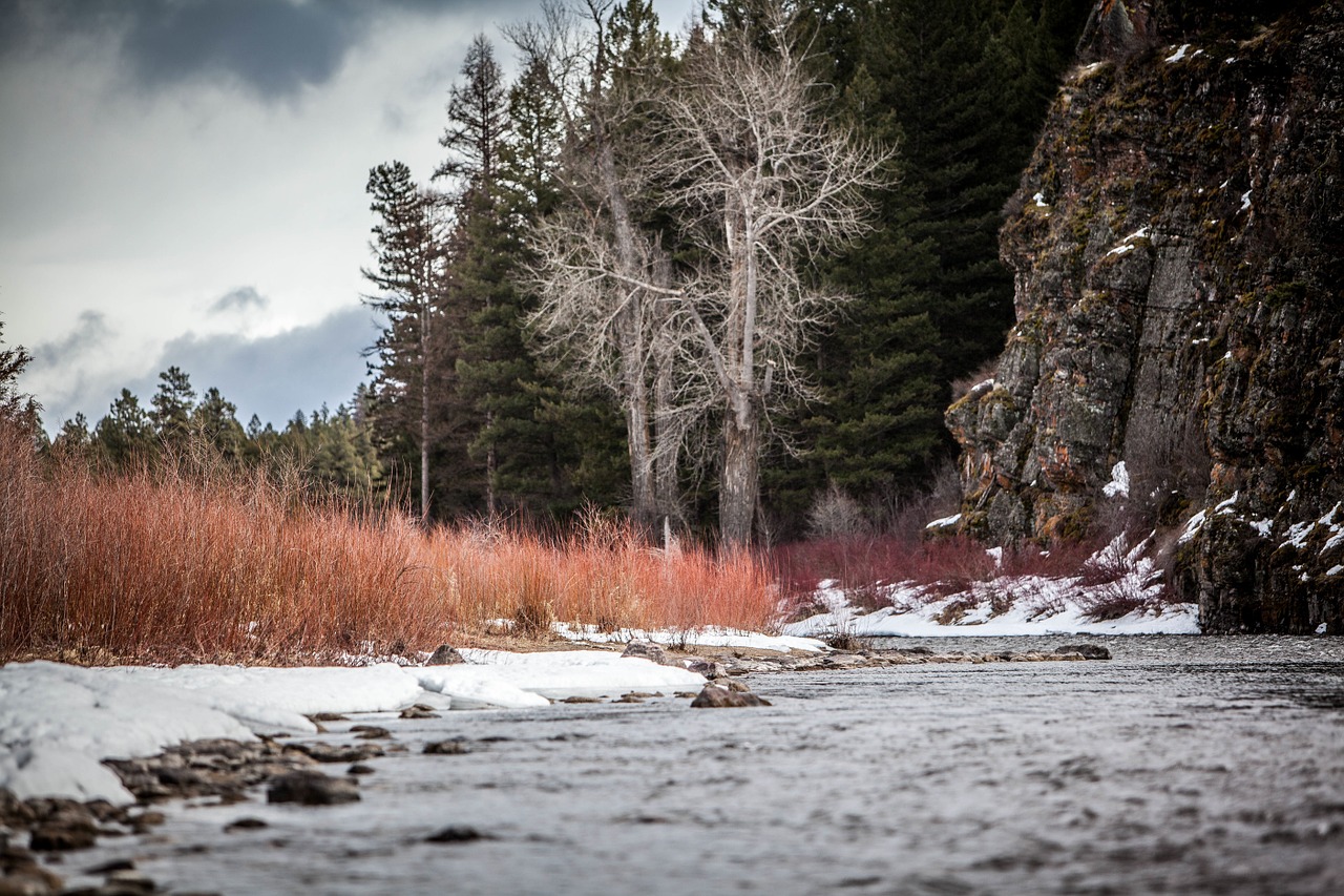 river winter snow free photo