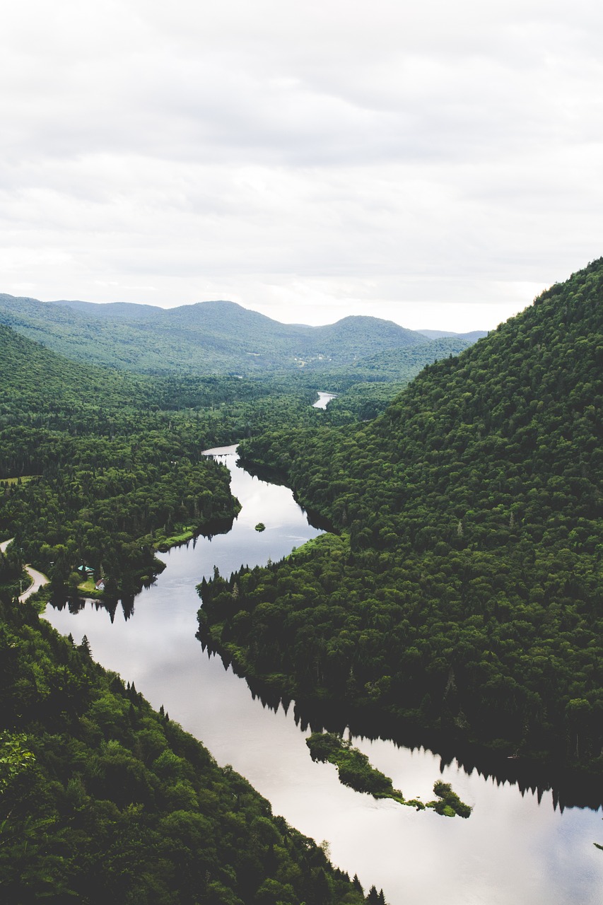 river green nature free photo