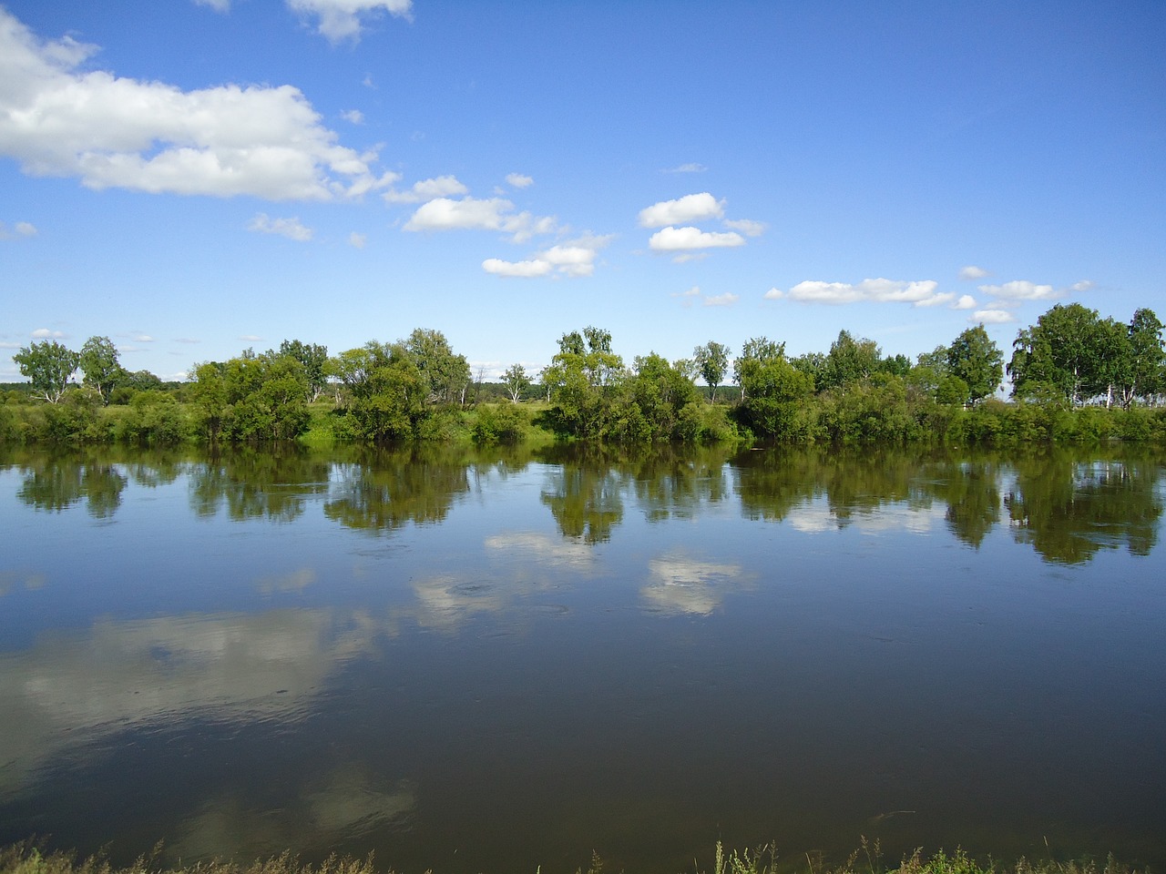 river nature water free photo