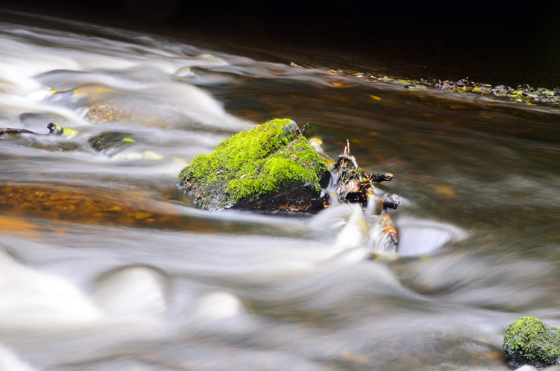 river water rock free photo